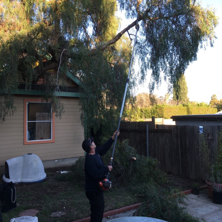 Still shot of world's longest