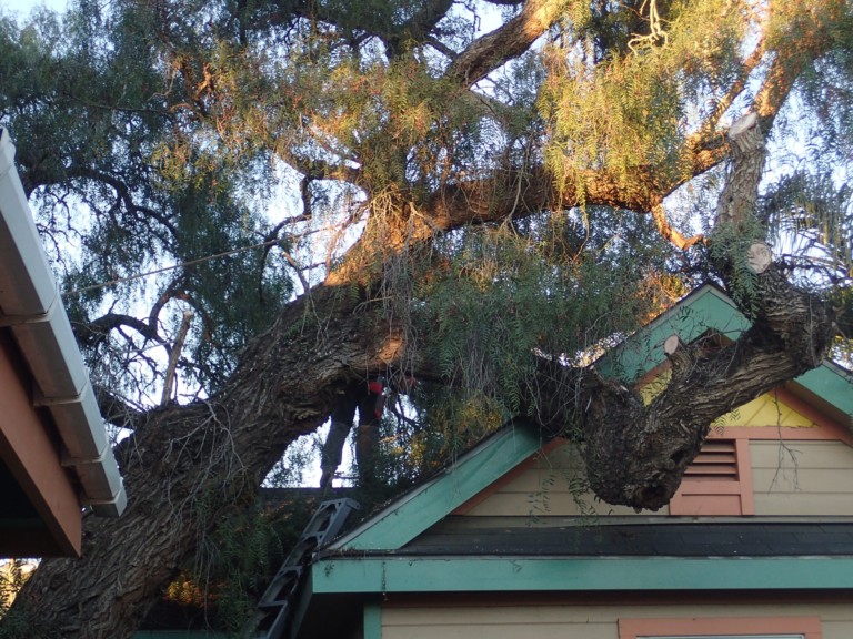 Ooooh! That really doesn't look good!