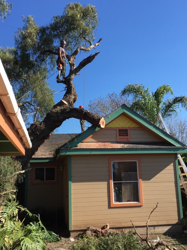 Garage has been liberated!