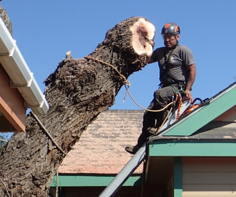 John's son-in-law is the aerial man!