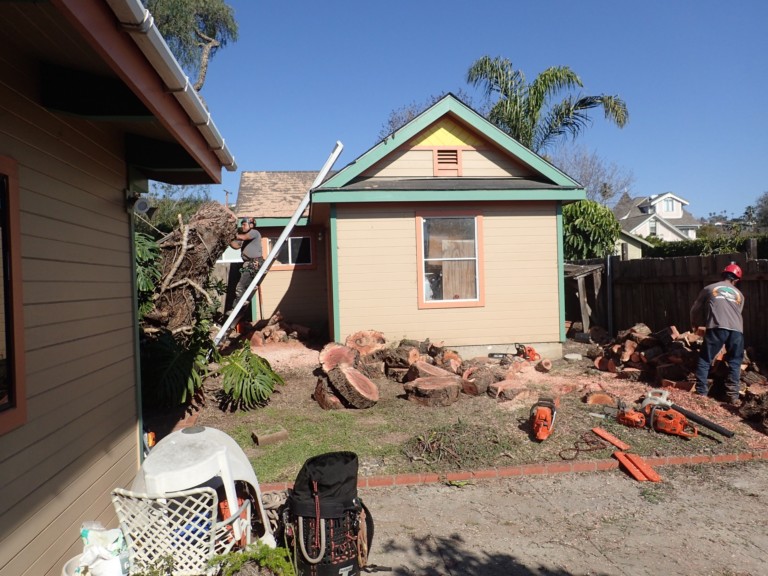 Just a few more carrot slices!