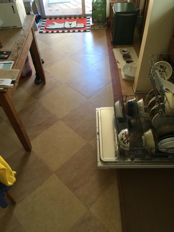 The most significant change around here is I'm now allowed to leave the dishwasher door open. Get the feeling that none of the changes I can wreak in Chris's absence amount to much?