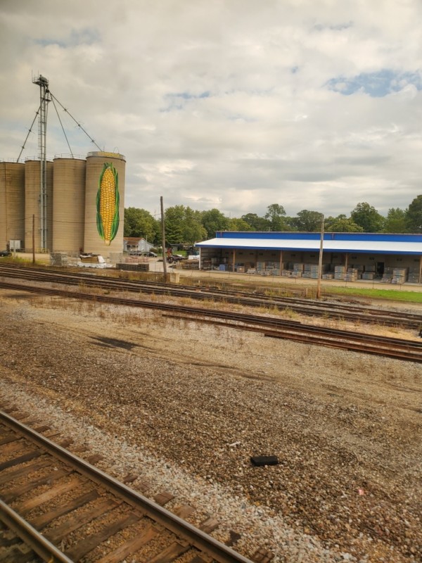 The world's largest ear of corn if one qualifies it properly