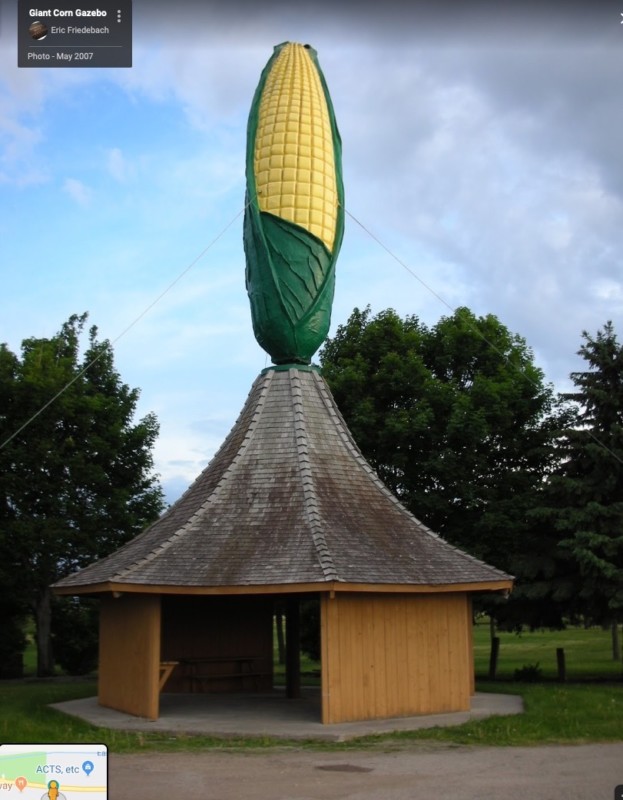 Olivia, Minnesota (where corn hybridization began) (how 'bout that?!). The claims I've recently read for this ear of corn aren't even worth passing on!