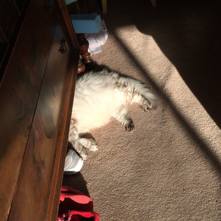 Purna's fine (well, obviously missing her mom, though)