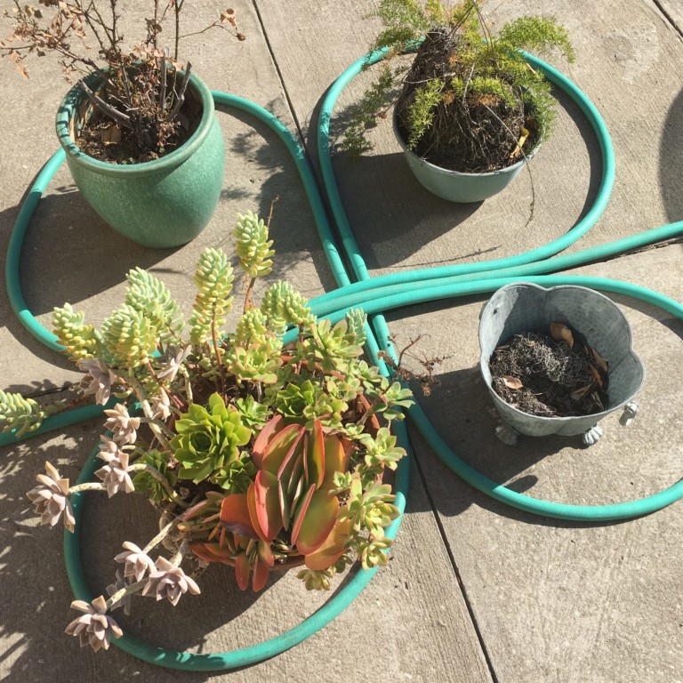 Informal, garden hose art