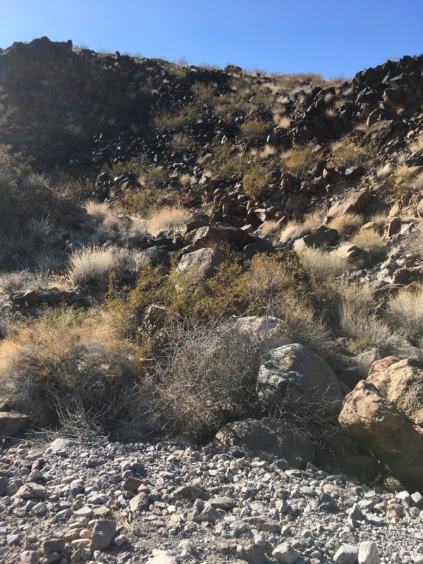 Some of the basketball-sized volcanic rocks practically glint at me in the late afternoon sun.