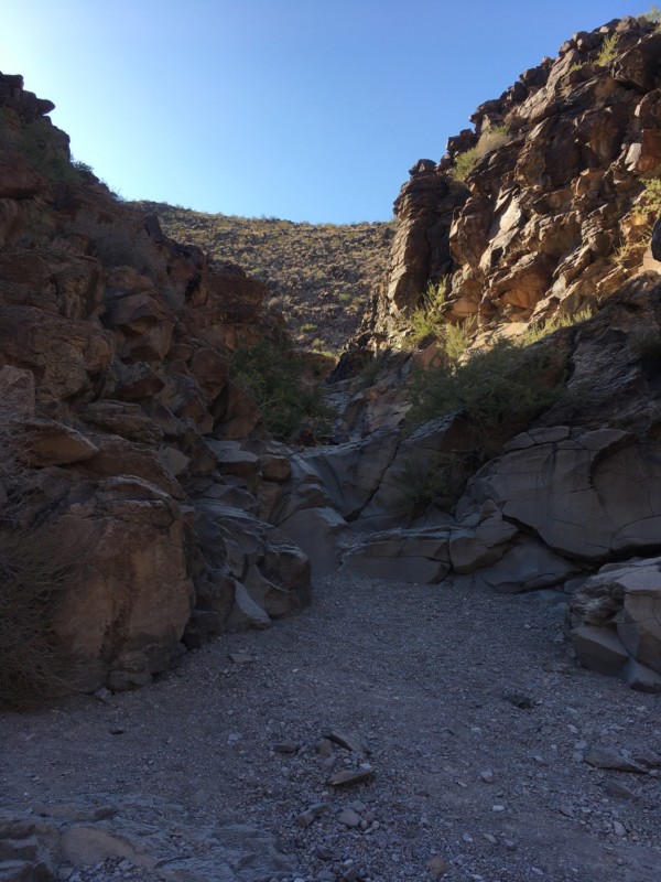 The lateness in the day, to say nothing of the marginal conditioning of my legs, suggest this as a good spot to turn around. I won't make it to the petroglyphs today.