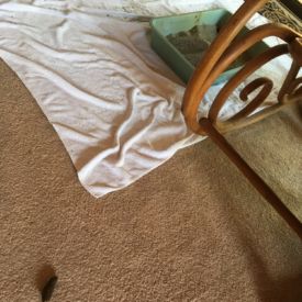 Close enough for Purna.