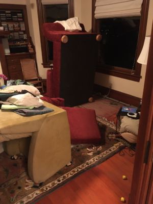 Inigo and I turned the living room upside down. Well — I was the muscle, Inigo the brains.